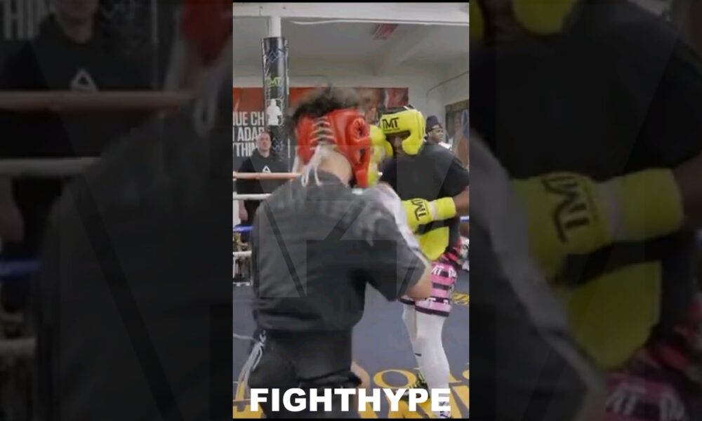 FLOYD MAYWEATHER HUMILIATES A YOUTUBER; TELLS JARVIS HOW HE'LL PUNCH HIM IN THE FACE BEFORE DOING IT