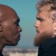 Image: Jake Paul vs. Mike Tyson Fight Postponed Due to Tyson's Medical Issue