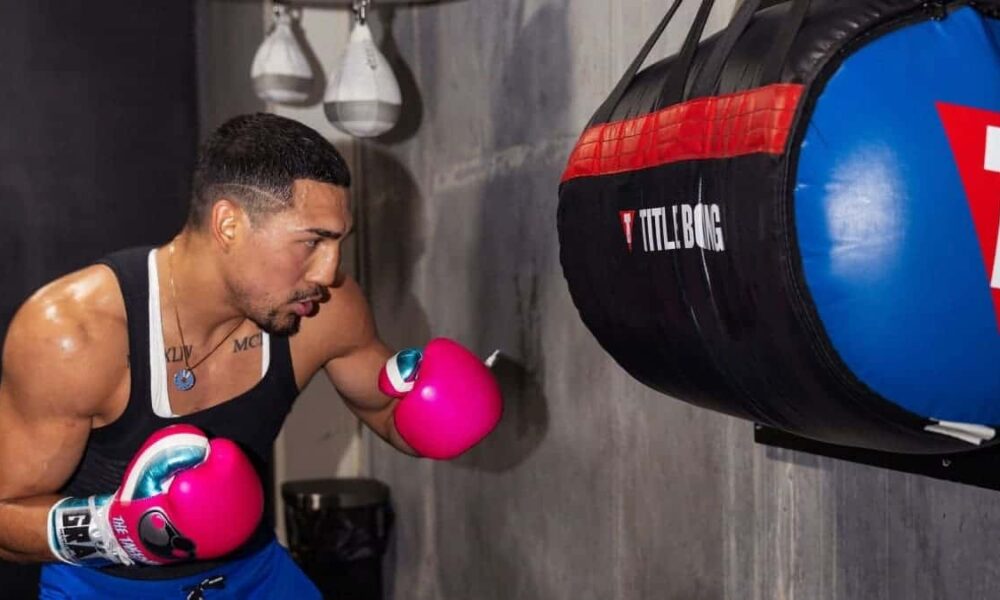 Teofimo Lopez training 2024