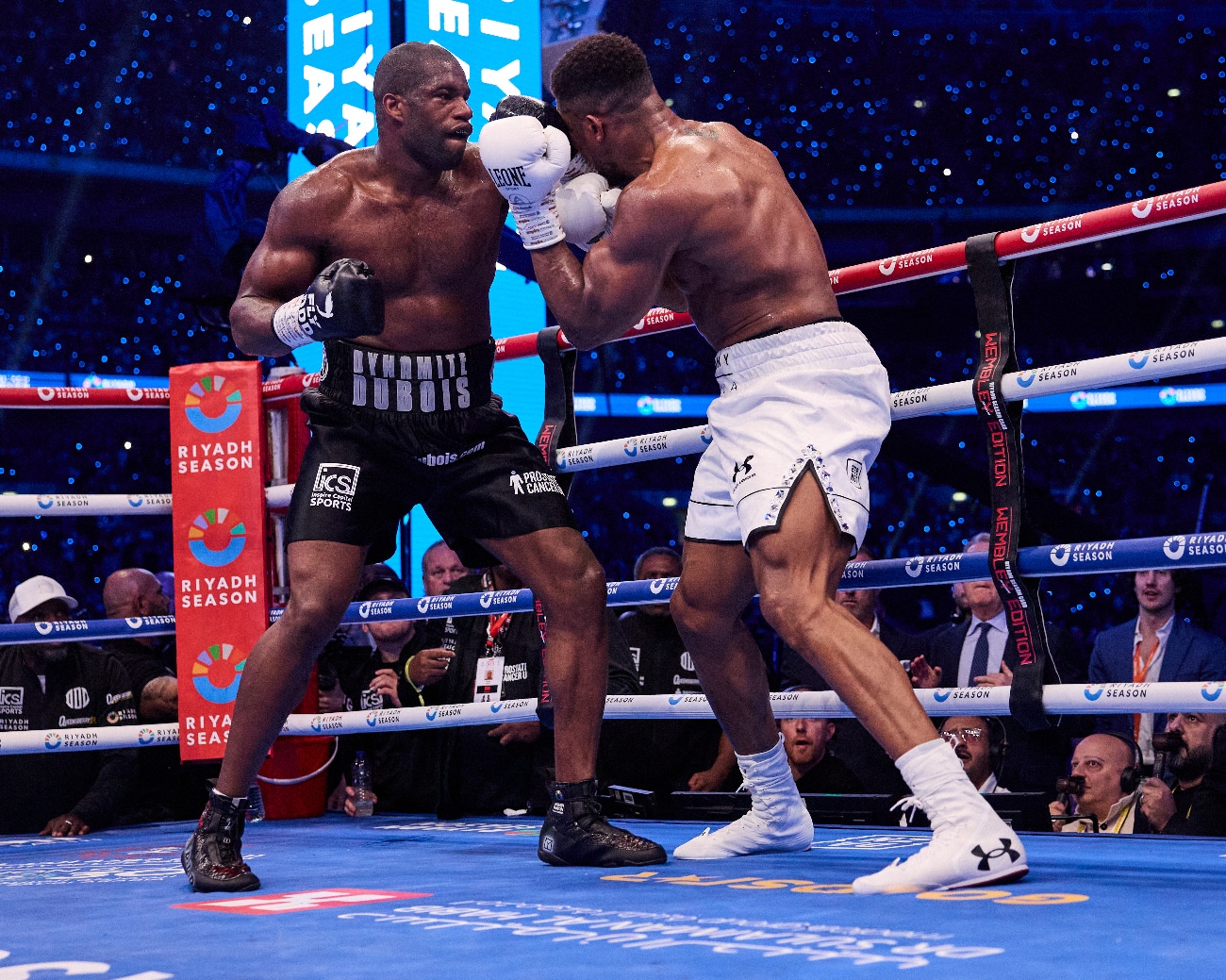 Image: Anthony Joshua had "System Overload" Against Dubois, says Tim Bradley