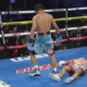 Angelo Leo knocks out Luis Alberto Lopez