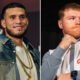 Fans are desperate for Canelo and Benavidez to lock horns Photo Credit: Ryan Hafey/Premier Boxing Champions