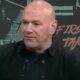 Image: Shortened Careers and Limited Competition: The Hidden Risks of Dana White's UFC-Style Boxing League