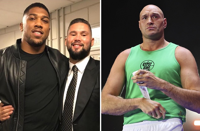 Fury retired in January Photo Credit: Photo Credit: Michelle Farsi/Matchroom