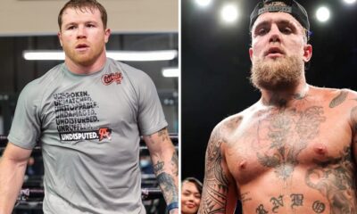 Canelo Alvarez will face Terence Crawford on September 13 in Las Vegas, live on Netflix