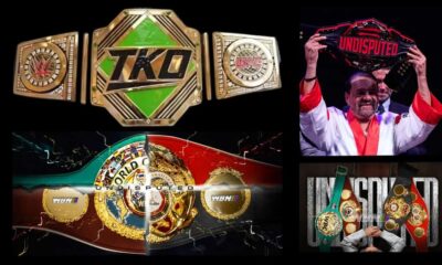 TKO UFC Boxing Undisputed