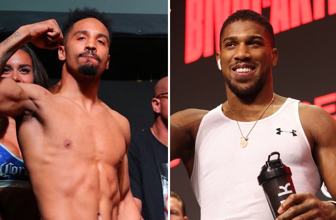 Joshua suffered a brutal defeat to Dubois Photo Credit: Mark Robinson Matchroom Boxing