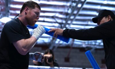 Image: Can Terence Crawford's power translate to 168? Tarver questions if he can hurt Canelo to secure a definitive victory