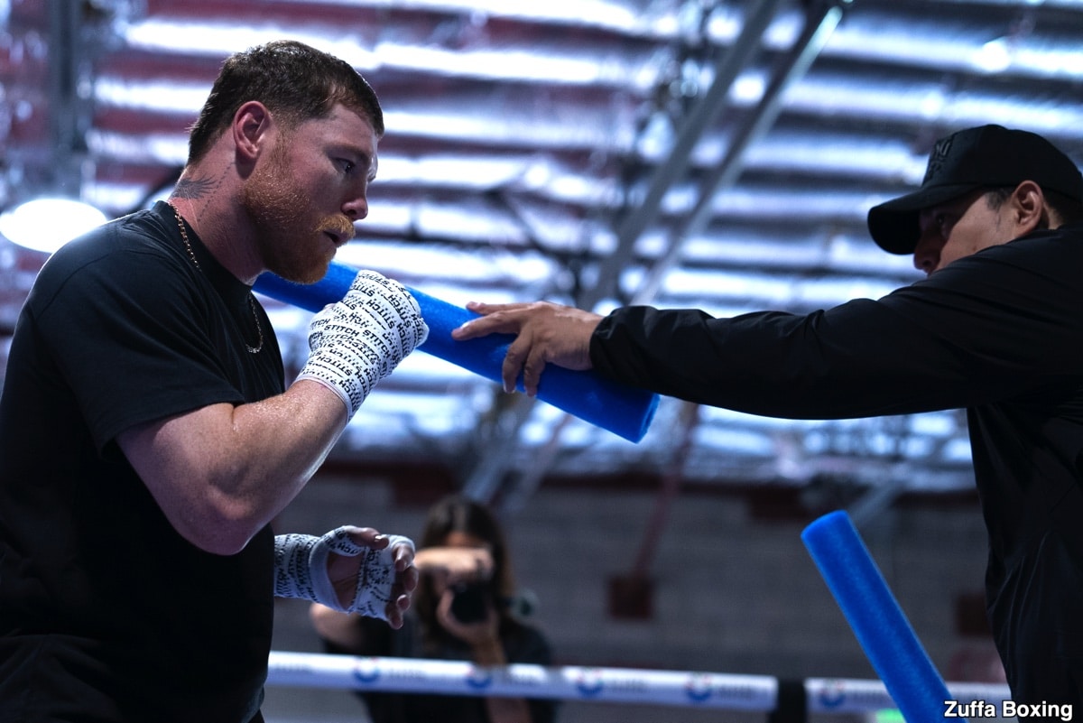 Image: Can Terence Crawford's power translate to 168? Tarver questions if he can hurt Canelo to secure a definitive victory