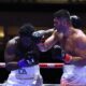 Image: Hrgovic - Adeleye War Stole the Show