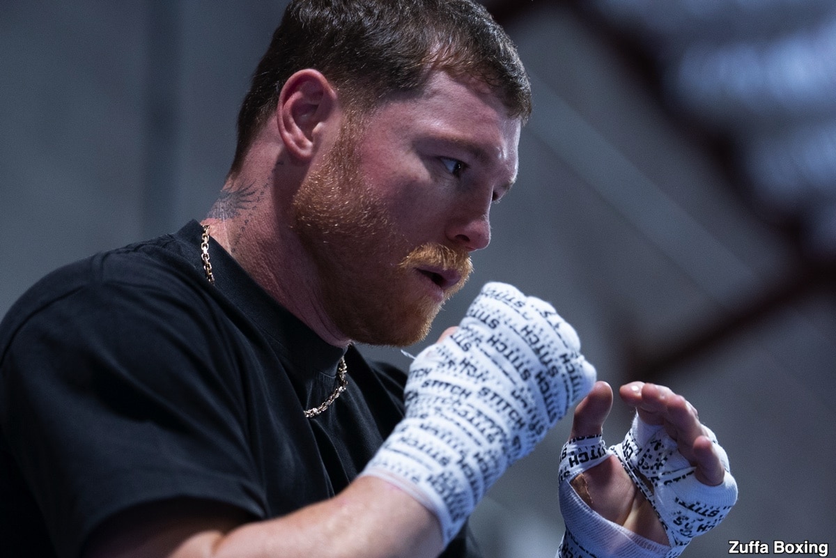 Image: Tim Bradley Justifies His Desperate Request for 'Boots' Ennis to Become a Spy, Calling the Crawford vs. Canelo Fight 'War'