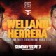 Image: Boxing Results: Kevin Herrera Stops Tom Welland for the WBO Youth Crown