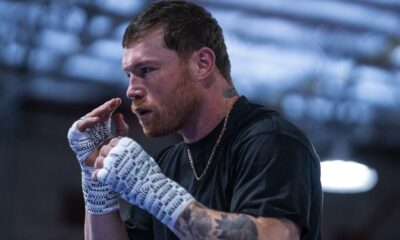 Image: Canelo's Business Imperative: Joel Diaz Argues a Loss to Crawford is Simply Unthinkable for Boxing's Future