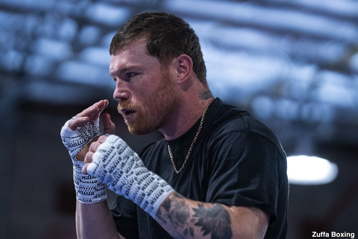 Image: Canelo's Business Imperative: Joel Diaz Argues a Loss to Crawford is Simply Unthinkable for Boxing's Future