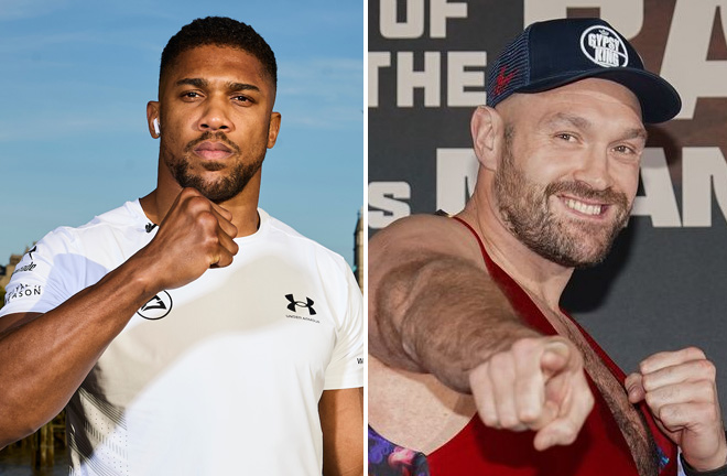 Fury retired in January Photo Credit: Photo Credit: Michelle Farsi/Matchroom