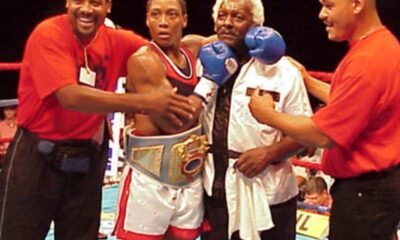 Image: Who Is Ann Wolfe?