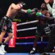 Image: Tim Bradley Tells Erickson Lubin to “Hang Them Up” After Vergil Ortiz Jr. Obliteration: “You Got Hit With a Nuke Last Night”