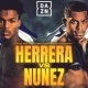 Promotional poster showing Jadier Herrera and Ricardo Nunez facing forward with national flags behind them, advertising their WBC interim lightweight title fight scheduled for January 10, 2026, in Oberhausen, Germany.
