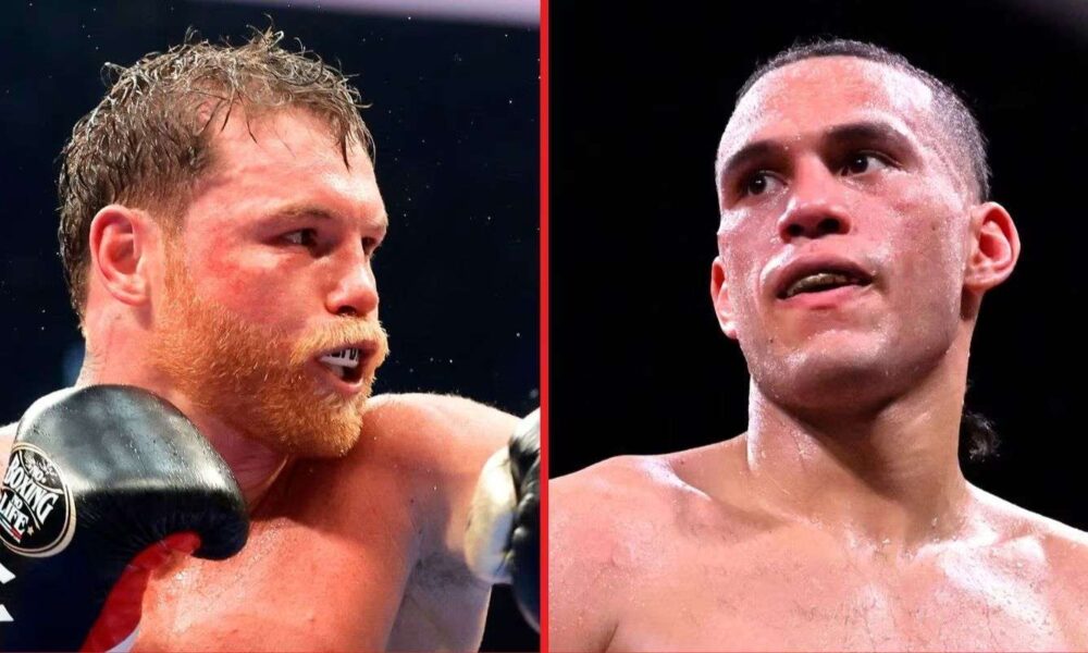 Canelo Alvarez and David Benavidez set to compete for the same opponent