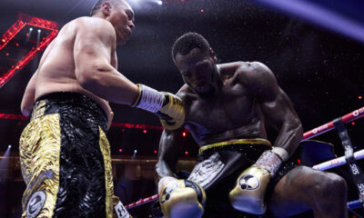 Zhang destroyed Wilder. Photo: Mark Robinson Matchroom Boxing