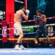 Image: Devin Haney says Rolly Romero isn’t worth the money