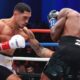 Jai Opetaia lands body shot during cruiserweight bout before IBF title was vacated