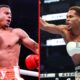 Roy Jones Jr predicts Devin Haney vs Rolly Romero: “He has abnormal power”