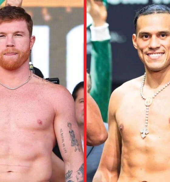 Shakur Stevenson sees only one winner in Canelo vs David Benavidez: “I’m a fan”