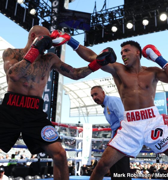 Image: David Morrell Stops Waiting, Lands May 9 Return