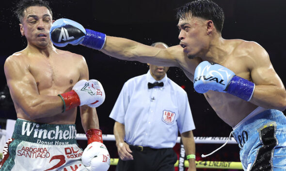 Leo knocked out Lopez and became the world featherweight champion. Photo: Mikey Williams/Top Rank