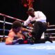 Image: Bradley says Richard Torrez “needs a chin” at heavyweight