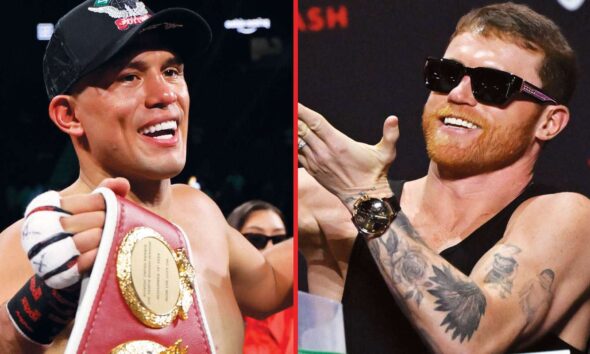 Canelo responds to David Benavidez offering him title fight at light heavyweight