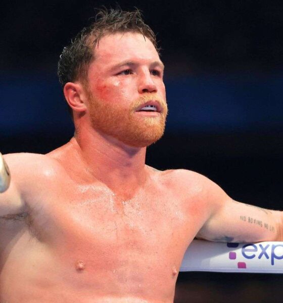Canelo warned he will suffer ‘violent and relentless’ defeat in September comeback fight