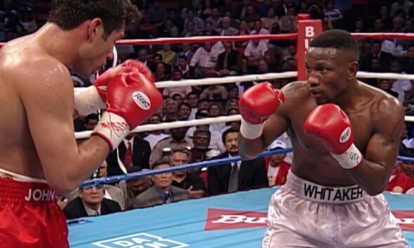 Image: Comparing Leonard, Whitaker and Mayweather