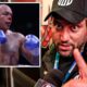 'FABIO WARDLEY IS LIKE A TIGER IN THE JUNGLE! - Team Dubois Mo Ali RESPECT to EX-CHAMP