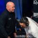 Image: Teofimo Lopez Questions Dana White After Viral UFC Apex Clip