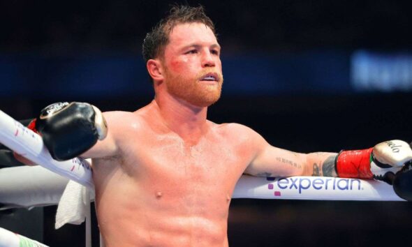 KO artist world champion says Canelo will avoid him on comeback run: “I’m a different breed”