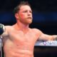 KO artist world champion says Canelo will avoid him on comeback run: “I’m a different breed”