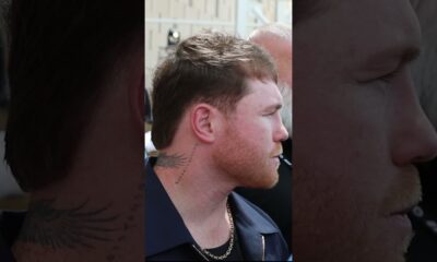 Canelo Alvarez REACTS to Terence Crawford REFUSING REMATCH & Benavidez CALLOUT