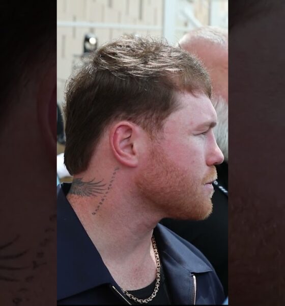 Canelo Alvarez REACTS to Terence Crawford REFUSING REMATCH & Benavidez CALLOUT