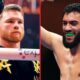 Canelo Alvarez tells Hamzah Sheeraz who he must face to ‘earn’ a shot at him