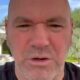 Dana White moves UFC production crew to &lsquo;second worst&rsquo; after FIFA world cup final