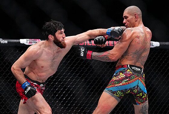 Why Bogdan Guskov still thinks Magomed Ankalaev is UFC&rsquo;s best at 205