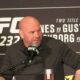 Dana White eyes Gervonta Davis signing after adding Shakur Stevenson