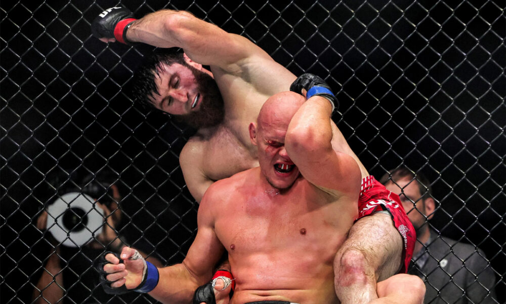 Daniel Cormier feels Magomed Ankalaev may have clinched title shot after UFC Abu Dhabi finish: "The light heavyweight division is in a weird place"