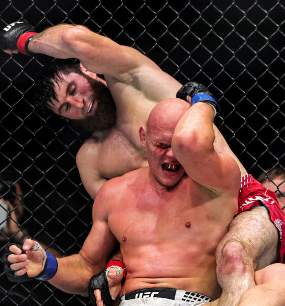Daniel Cormier feels Magomed Ankalaev may have clinched title shot after UFC Abu Dhabi finish: "The light heavyweight division is in a weird place"