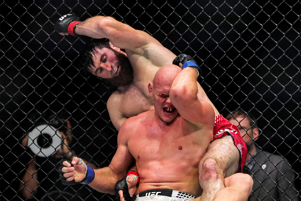 Daniel Cormier feels Magomed Ankalaev may have clinched title shot after UFC Abu Dhabi finish: "The light heavyweight division is in a weird place"