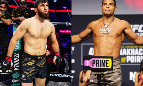 Magomed Ankalaev reacts to Paulo Costa turning down short-notice fight: "They need 10 years"