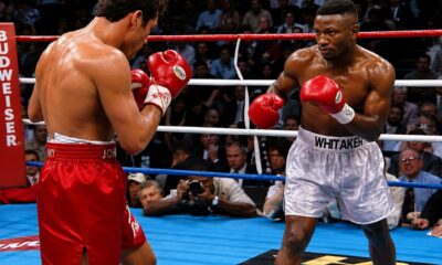 "Terence Crawford Reveals Why Floyd Mayweather Outshines Pernell Whitaker in Defensive Skills"