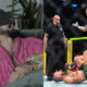 Conor McGregor's UFC 329 injury is the 'most disappointing moment in combat sports history,' says Sean O'Malley: 'I feel like I'm in shock"